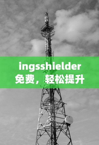 ingsshielder免费，轻松提升数据速度的解决方案