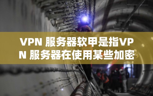VPN 服务器软甲是指VPN 服务器在使用某些加密协议或恶意设置后,通过特定方式吸引攻击者。以下是针对这种情况的建议 VPN 服务器软甲是指VPN 服务器在使用某些加密协议或恶意设置后,通过特定方式吸引攻击者。以下是针对这种情况的建议