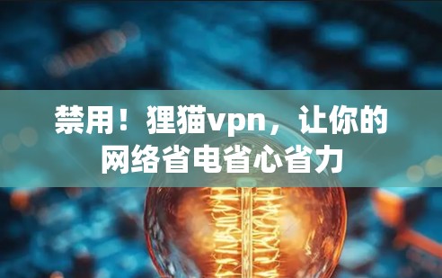 禁用！狸猫vpn，让你的网络省电省心省力