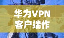 华为VPN客户端作为一款功能全面的VPN工具，帮助用户保护数据安全并提升网络体验。以下是对华为VPN客户端软件的详细介绍
