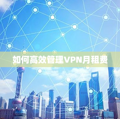 如何高效管理VPN月租费