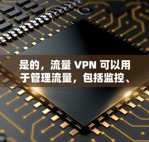 是的，流量 VPN 可以用于管理流量，包括监控、限制和分析。它可以帮助你更好地控制网络流量，避免不必要的使用，或者进行流量分析以优化网络使用。以下是一些主要用途