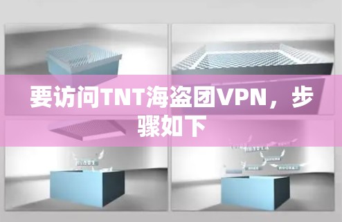 要访问TNT海盗团VPN，步骤如下