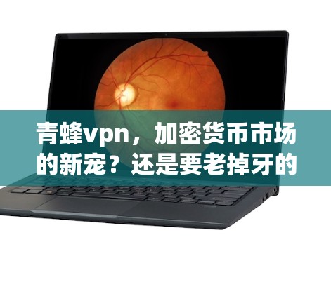 青蜂vpn，加密货币市场的新宠？还是要老掉牙的工具？