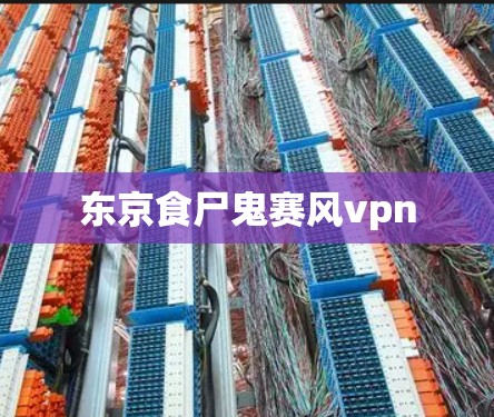 东京食尸鬼赛风vpn
