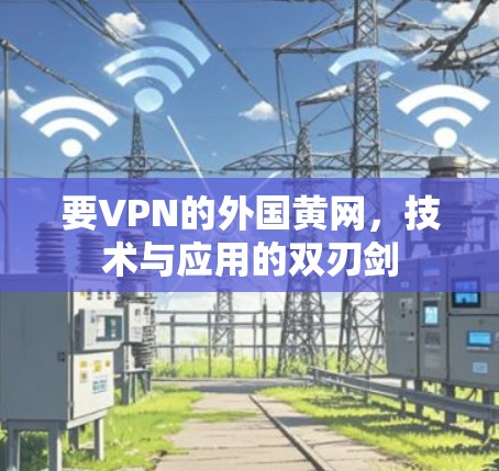 要VPN的外国黄网，技术与应用的双刃剑
