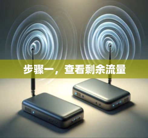 步骤一，查看剩余流量